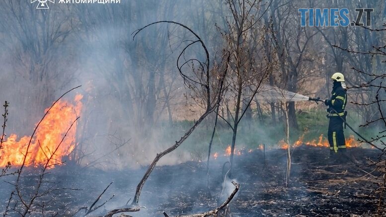 Пожежі на Житомирщині: за добу вогонь спопелив 7 гектарів сухої рослинності