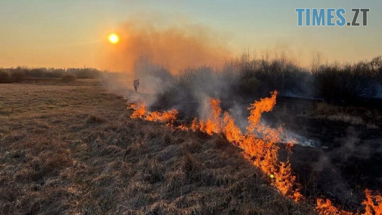 На Житомирщині за добу вигоріло понад 7 га сухостою
