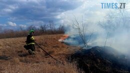 4 пожежі за добу: на Житомирщині вигоріли гектари сухостою