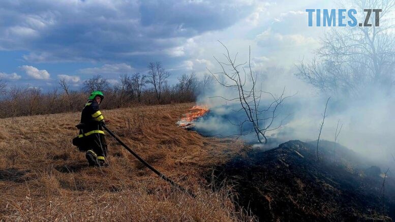 4 пожежі за добу: на Житомирщині вигоріли гектари сухостою