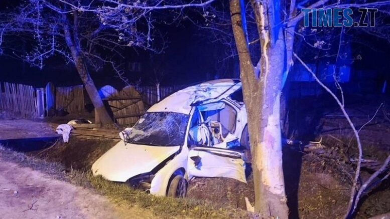 У ДТП на Звягельщині загинула 12-річна дитина