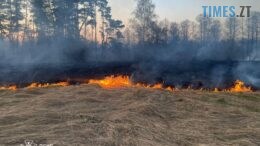 Житомирщина у вогні: за добу вигоріло понад 17 гектарів екосистем