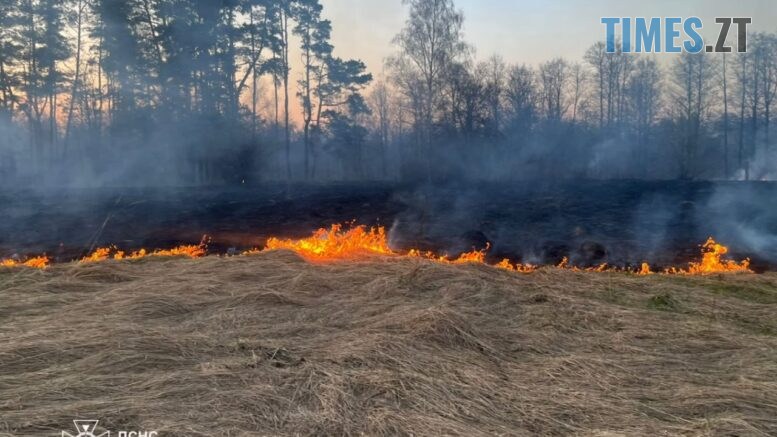 Житомирщина у вогні: за добу вигоріло понад 17 гектарів екосистем