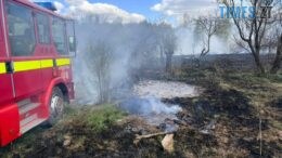 Зупинили вогонь біля хат: на Житомирщині за добу ліквідували шість пожеж сухостою
