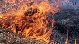 Понад 400 пожеж з початку року: Житомирщина продовжує потерпати від спалювання трави
