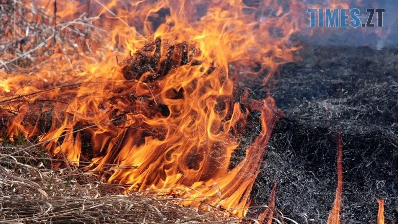 Понад 400 пожеж з початку року: Житомирщина продовжує потерпати від спалювання трави