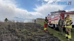 Пожежі в екосистемах Житомирщини: інспектори за добу виявили паліїв у двох громадах