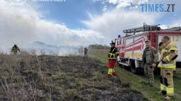 Екорейди на Житомирщині: від штрафів за багаття у лісі до судів за незаконно виловлену рибу
