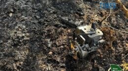На Житомирщині через уламки «шахеда» виникла лісова пожежа