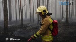 На Житомирщині локалізували масштабну пожежу на території Поліського природного заповідника
