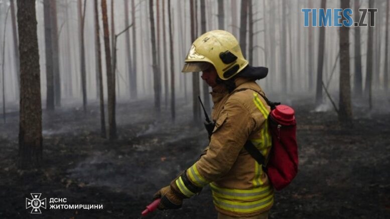 На Житомирщині локалізували масштабну пожежу на території Поліського природного заповідника