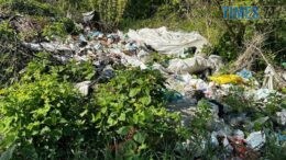 На Звягельщині екоінспектори виявили занедбане сміттєзвалище, яке забруднює ліс