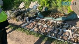 На Житомирщині затримали браконьєрів із уловом на пів мільйона гривень