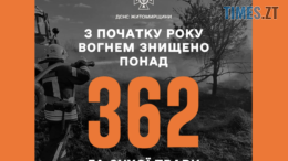 На Житомирщині з початку року зафіксовано понад 500 займань сухої рослинності