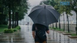 Погіршення погоди на Житомирщині: синоптики попереджають про грози, шквали та похолодання