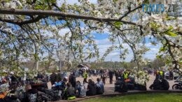 Рев моторів і добра справа: у Житомирі байкери відкрили сезон благодійним заїздом