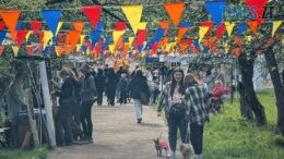 Менше гавкоту — більше сенсу: у Житомирі відбувся перший DOGFEST