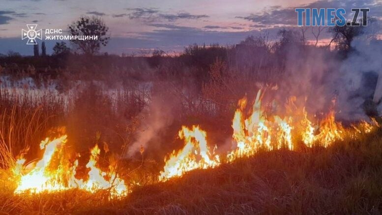На Житомирщині через паління трави вогонь ледь не знищив житловий будинок