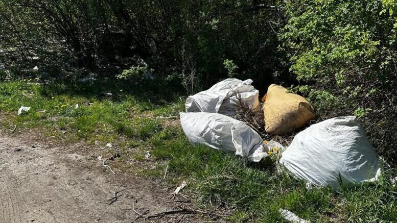 Сміттєзвалище замість узбіччя: Екоінспекція виявила порушення на вулиці Тараса Бульби-Боровця у Житомирі