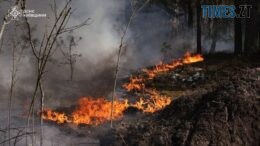 Чорнобильська зона у вогні: масштабна лісова пожежа охопила понад 1100 гектарів