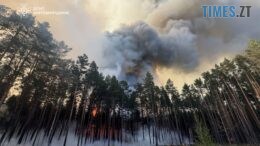 Битва за ліс: На Житомирщині вогонь охопив 500 гектарів