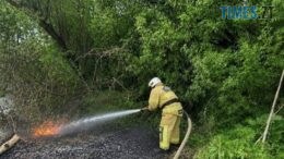 Житомирщина у вогні: через сильний вітер пожежа ледве не знищила село Котлярка