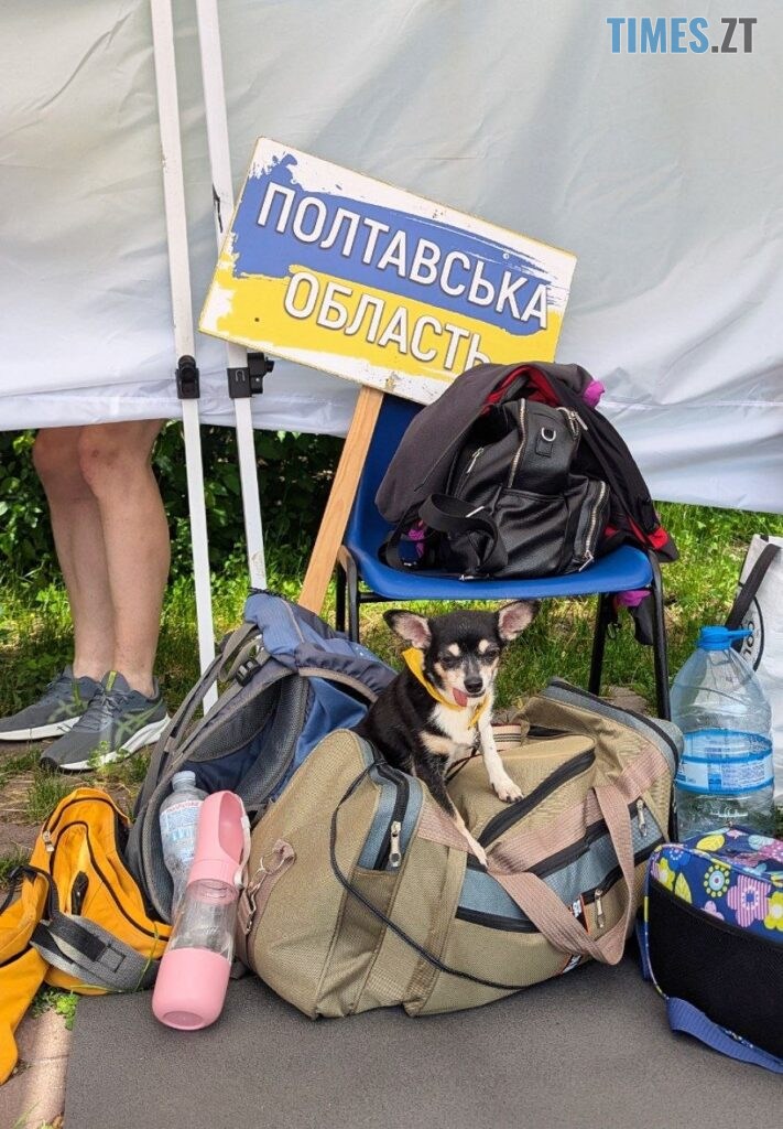 Житомир вирує емоціями: на набережній тривають гонки човнів «Дракон»