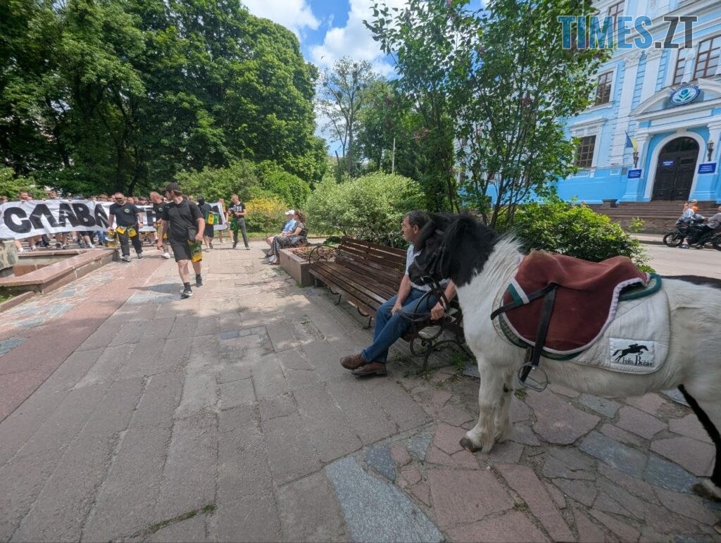 Ультрас рух WZTF  запалив Житомир  фанатським маршем до Дня Героїв України (ФОТО)