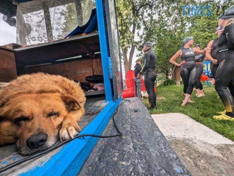 Вода +15°C і жодних компромісів: у Житомирі стартував «Кубок трьох річок» (ФОТО)