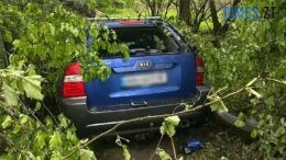 Трагедія на ґрунтовій дорозі: на Малинщині у ДТП загинули двоє людей