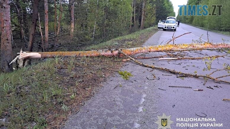 Смертельна ДТП на Малинщині: правоохоронці встановлюють обставини трагедії