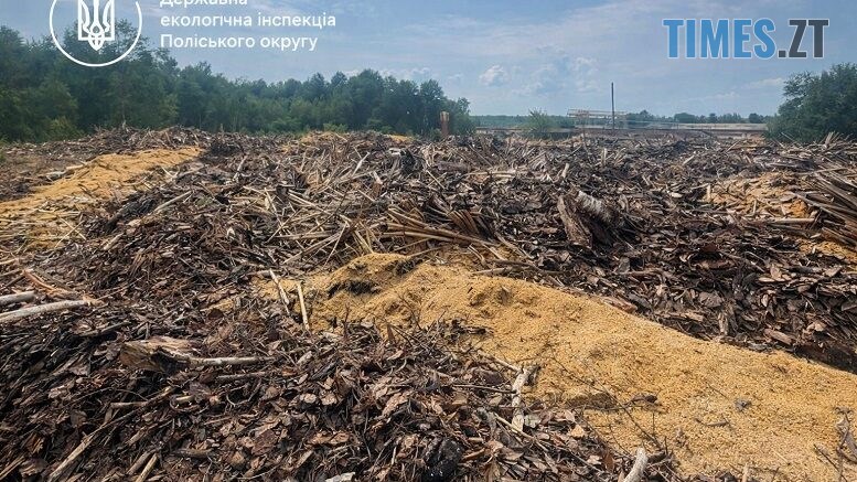 Понад 1,6 мільйона гривень за тирсу: прокуратура стягнула з ДСГП «Ліси України» збитки за засмічення земель