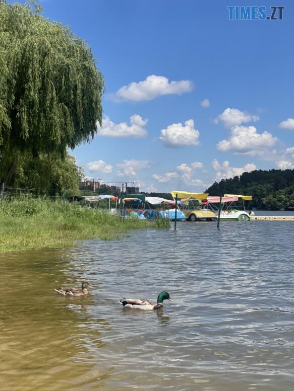 Купатися чи не купатися – про стан води і пляжів у Гідропарку в Житомирі (ФОТО)