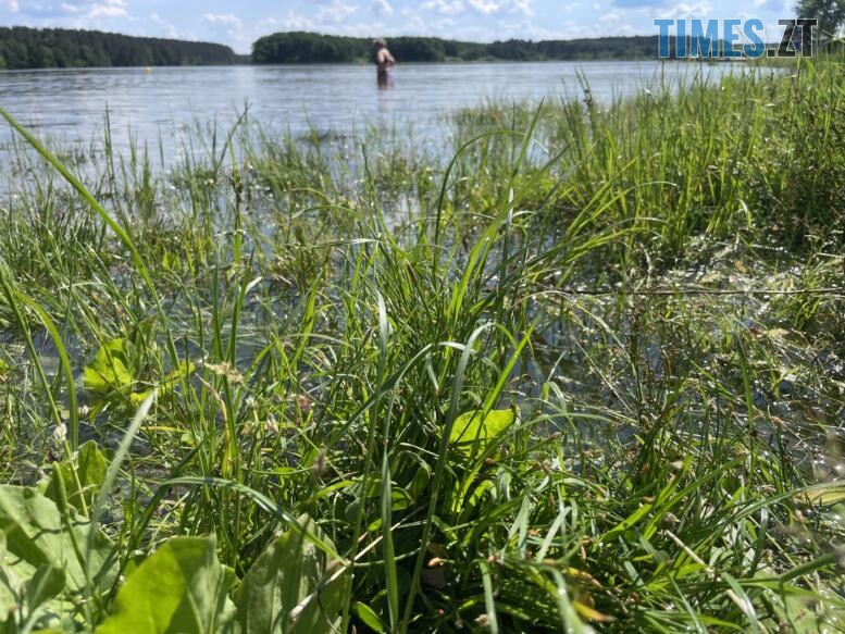 Купатися чи не купатися – про стан води і пляжів у Гідропарку в Житомирі (ФОТО)