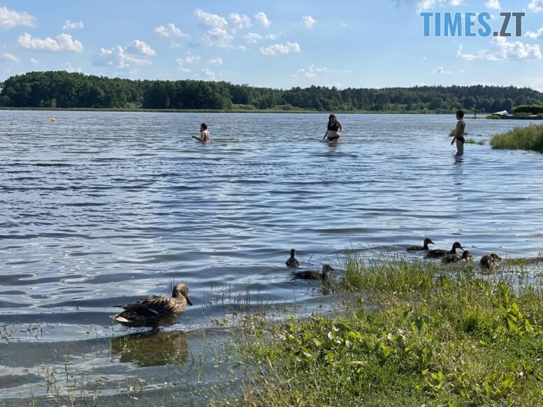 Купатися чи не купатися – про стан води і пляжів у Гідропарку в Житомирі (ФОТО)