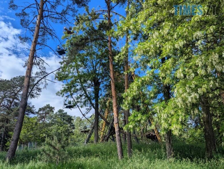 Коли літо затримується: травневі настрої Житомира (ФОТО)