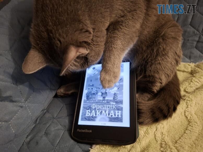 Фредрік Бакман: письменник, який постійно мене дратує