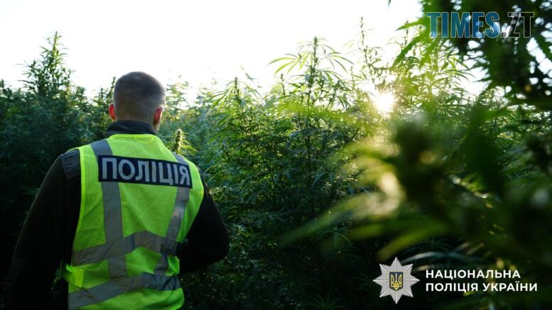 правоохоронець у теплиці де ростуть коноплі