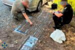 військовий розкладає на землі вилучені у торговця зброєю боєприпаси