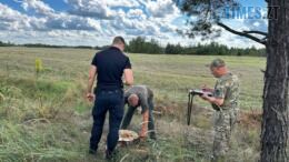 екоінспектори вимірюють та записують розмір пенька від зрубаного чорними лісорубами дерева