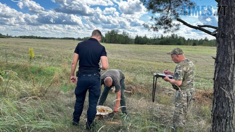 екоінспектори вимірюють та записують розмір пенька від зрубаного чорними лісорубами дерева
