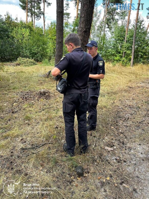 правоохоронці біля пеньків незаконно зрубаних дерев у Глибочицькій громаді