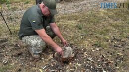 екоінспектор міряє пеньок зрубаного дерева