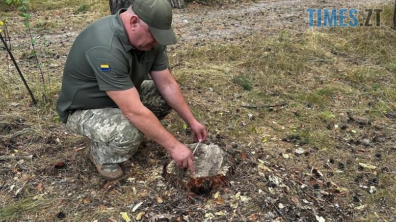 екоінспектор міряє пеньок зрубаного дерева