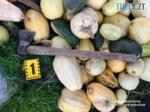 сокира яка лежить на гарб