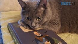 Сірий кіт з книжкою Катерини Диси