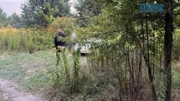 правоохоронець затримав закладчика у передмісті Житомира