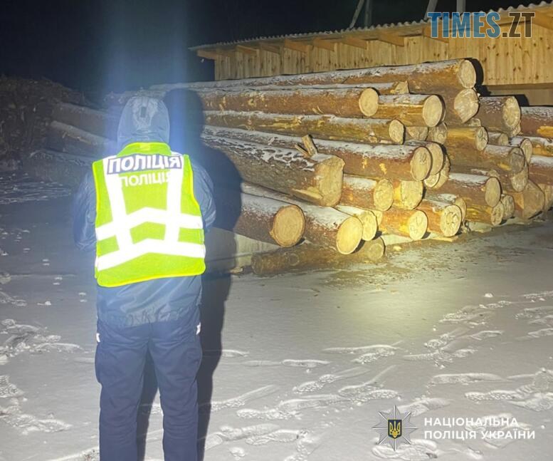 правоохоронець біля нагромадження колод сосни