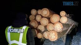 поліцейський біля возу зі зрубаними колодами