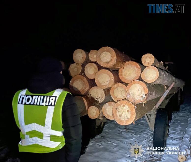 Ліквідація незаконних вирубок у заповіднику та гасіння пожежі на підприємстві Житомирщини